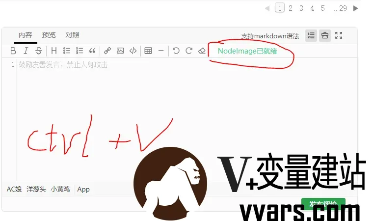 nodeseek论坛使用